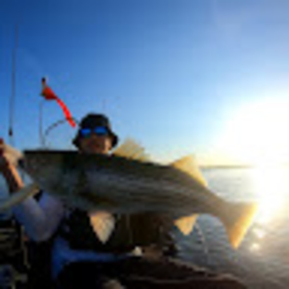 Meet your Posher, Mikey - Picture 1 of 1